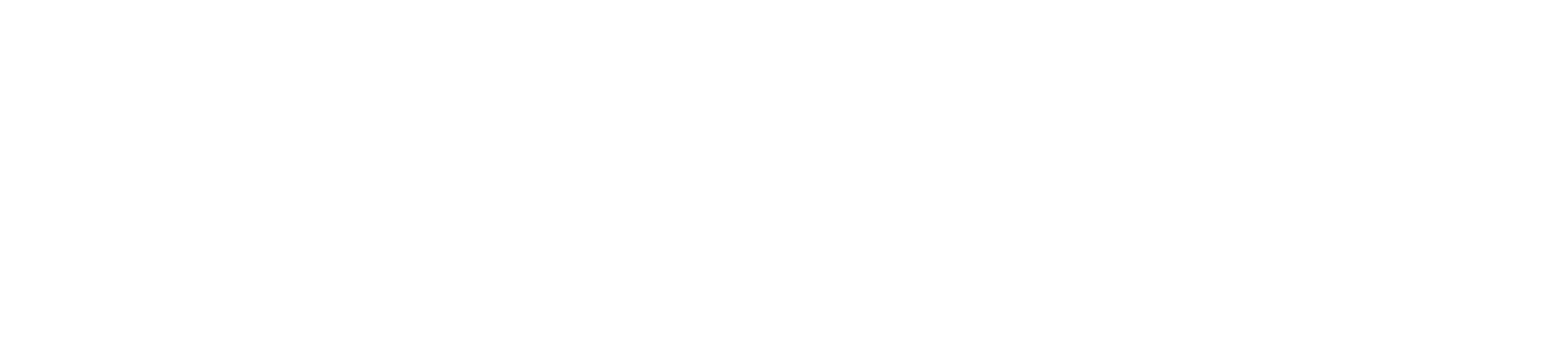 FLASSHY